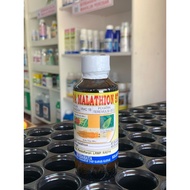Mapa malathion 57% 100ml (racun serangga)-malathion 57%