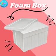 [1pcs] Foam Polystyrene Styrofoam Cooler Ice Box / Kotak Gabus Ais