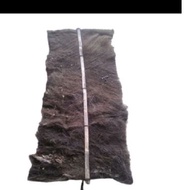 jual Kakaban injuk kakaban ikan br tlor 30x70