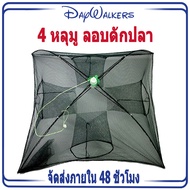 DayWalkers มุ้งดักกุ้ง ตาข่ายดักปลา มุ้งดักปลา ที่ดักกุ้ง ลอบดักปลา ไซดักปลา แห่จับปลา อุปกรณ์ตกปลา กระชังปลา ที่ดักปลา 4/6/8/10 ช่อง