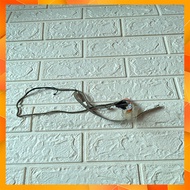 Cáp màn hình dell e6520 vga rời tháo máy