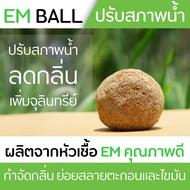 EM Ball ลดกลิ่นน้ำ บำบัดน้ำเสียผลิตจากหัวเชื้ออีเอ็มคุณภาพ ย่อยสลายตะกอนและไขมันในน้ำ ไม่มีอันตรายกับสัตว์น้ำทุกชนิด