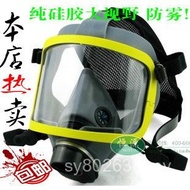 Hengyuan 901 Chemical Full Face Mask Mask Spray Paint Protection Large Field Vision Anti-dust Gas Ma