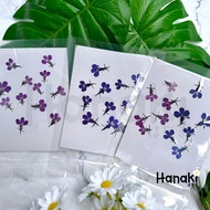 🪻Lobelia Lobelia Real Dried Flowers Pressed