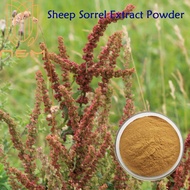 N&M/ Sheep Sorrel Extract Powder/ Reduces Swelling, Diuresis, Supports Kidney and Urinary Health/ No