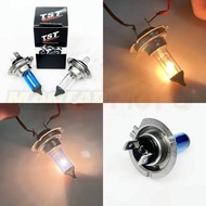 FRONT BULB H7 12V/55W WHITE