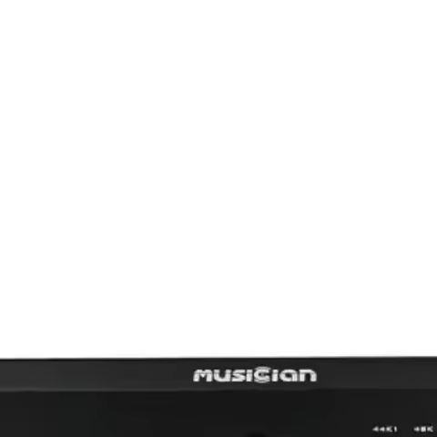 A-344 MUSICIAN Draco R2R DAC I2S/Coaxial/Optical/AES Blanced/USB Input RCA/XLR Balanced Output R2R D