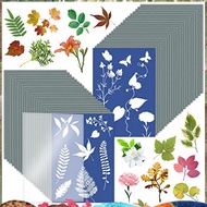 1Set Cyanotype Paper A5  Art Kit High Sensitive Sun Paper  Printing Kit Light Green Drawing Art Pape