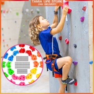 Rock Climbing Hold for Kids Climbing Rock Wall Stone Children Tree Climbing Straps Indoor/Outdoor Ro