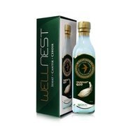 🔥PREMIUM BIRD NEST 🕊WALIT GOLD Q10🕊