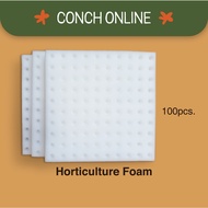 Hydroponic Seed Sowing Sponge High Quality Horticulture Foam Hydroponics Aquaponics