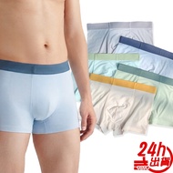 50 Pcs Modal Boys' Underwear Taiwan Ready Stock Big Kids' Underwear Modal Underwear Boys' Children's