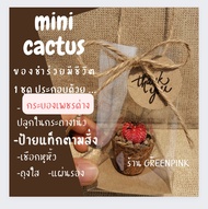 ของชำร่วย ต้นกระบองเพชรด่าง 🌵 ต้นไม้จริง​ ของฝาก no.24 งานแต่ง ต้นไม้มงคล ของชำร่วยงานแต่ง ของขวัญ ยิมโน แคคตัส ปีใหม่