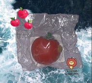 J.Dream 水果扭蛋捏捏玩具🍎