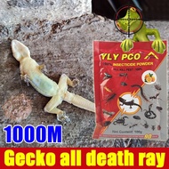 Lizard repellent Lizard repellent Lizard killer Lizard killer Most effective lizard remedy Gecko hou
