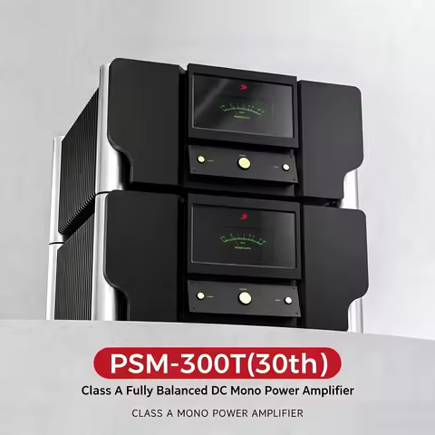 Shengya PSM-300T 30TH Anniversary Version Gallstone Hybrid Amplifier Mono Amplifier Class A And AB E