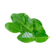 10 fresh grapefruit leaves