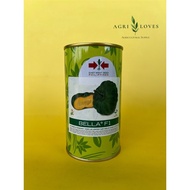 ✺✇Bella F1 Hybrid Kalabasa Seeds 100grams (East-West Seed)