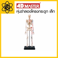 4D Vision Small Skeleton Model 4D