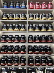 包順豐 Optimum Nutrition 乳清蛋白 5磅