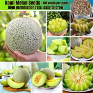 Good Quality Hami Melon Seeds for Planting (100 Seeds Per Bag) Cantaloupe Seeds Sweet and Nutrient F