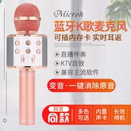 KTV Microphone