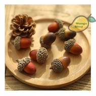 Set of 3 decorative oaks for photography