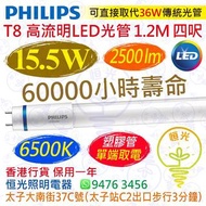 PHILIPS 飛利浦（單端）T8 高流明 6500K 白光 15.5W LED 光管 2500流明 1.2M 四呎 60000小時壽命 香港行貨 保用一年