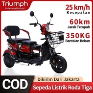 Sepeda motor listrik/sepeda listrik roda 3 /motor listrik roda 3/motor