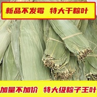 Dragon Boat Festival Pure Natural Large Dumpling Leaves Dried Dumpling Leaves Dried Large Dumpling L