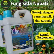 READY [M23 FUNGISIDA NABATI] Fungisida Sistemik dan kontak Pembasmi