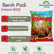 Benih Padi Hibrida Intani 602