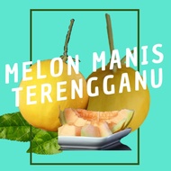 [PAKEJ 6B] Melon Manis Terengganu/ "Gold Honeydew" x 6 Biji Sekotak (Gred B)