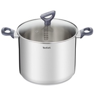 Tefal Daily Cook Stainless Steel Induction Stockpot (22cm, 6.2L) Dishwasher Oven Safe No PFOA Silver