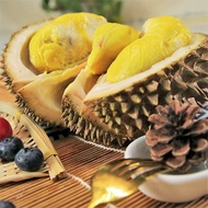 Premium Fresh Durian with Husk