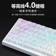 Etc. High Line 4.0 Side Engraved Keycap PBT Translucent Keyboard Cap 87/98 Keys Little Bee made68pro