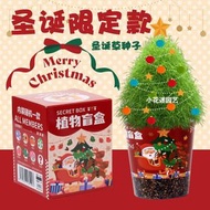 新年植物盲盒種植盆栽小學生耶誕節禮物獎品幼稚園禮物創意小禮品聖誕款-紅色雪橇車