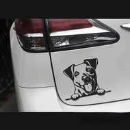 Funny Jack Russell Dog Happy Peek Car Sticker Personality PVC Decorative Sticker Customizable Color