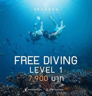 Freedive Lv.1