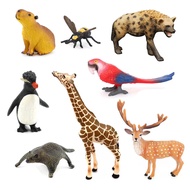 Simulated wild animal models, children's educational toys: flying squirrel, hyena, capybara, bee, de