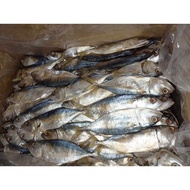 Ikan Masin Kembong | Salted Fish | 咸鱼 300g
