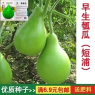 Vegetable Gourd Gourd Gourd Seeds Early Growth Gourd Seeds Gourd Gourd Gourd Farm Vegetable Seeds Hi