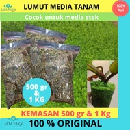 Planting MEDIA / LIVE MOSS / FOREST MOSS / MOSS SPAGNUM 500GR & 1KG