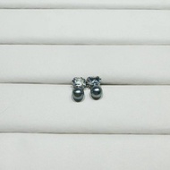 【Exclusive to xixi】海水akoya珍珠耳钉 6-7mm xixi01