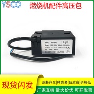 110V 100V-120V Burner Accessories Burning System Ignition Burner Accessories Igniter High Pressure P