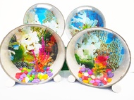 AQUARIUM IKAN CUPANG - AKUARIUM MINI - AQUARIUM GANTUNG TERMASUK AKSESORIS BATU HIAS DAN TANAMAN HIA