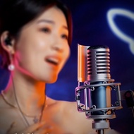 Takstar/Victory SM-9 Condenser Microphone Professional Recording Condenser Microphone Mobile Phone L