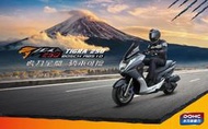 PGO摩特動力TIGRA250彪虎250平價黃牌重機入門款