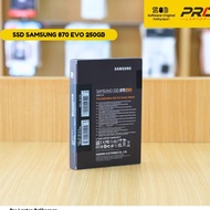 Samsung 870 Evo 250 GB SATA 2.5" SSD