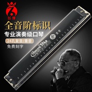 High-end German imported reed harmonica for beginners 24-hole children's polyphonic accent adult professional playing toy harmonica